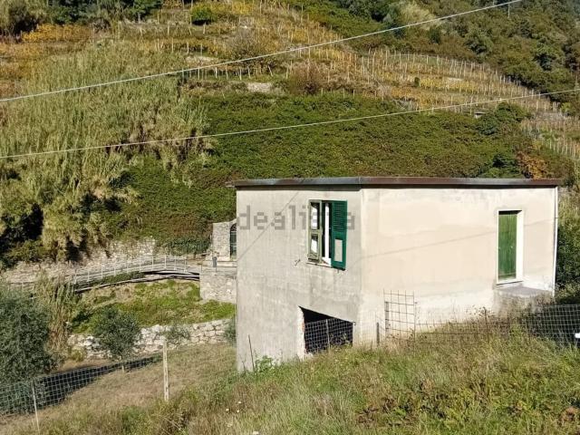 Rustico in vendita a Vernazza, Liguria