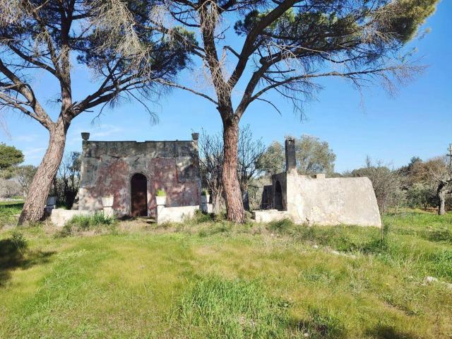Rustico in vendita a Puglia, Brindisi
