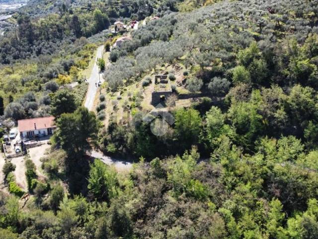 Rustico in vendita a Dolceacqua, Liguria