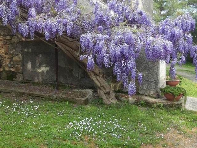 Rustico in vendita a Fabbrucci, Campagnatico