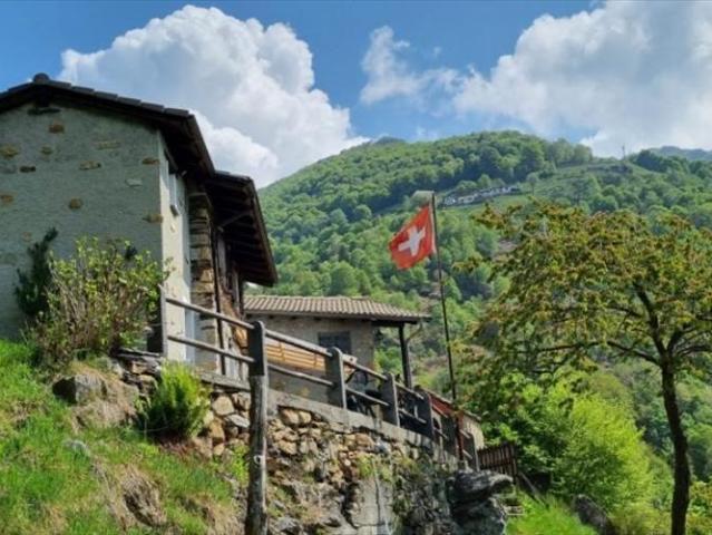 Haus kaufen in Gerra, Gambarogno, Tessin