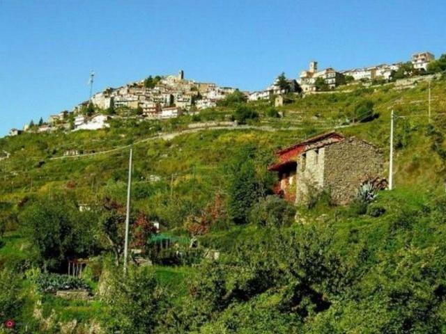 Terreno in vendita a Bajardo, Liguria