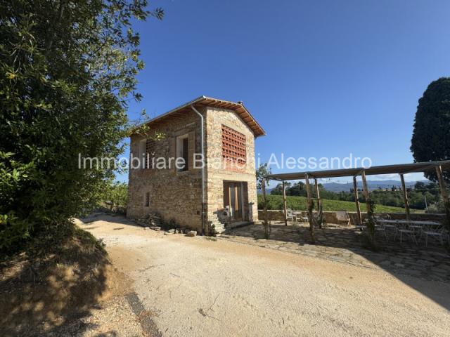 Villa Indipendente in affitto a Unione dei Comuni Circondario dell'Empolese Valdelsa, Empoli