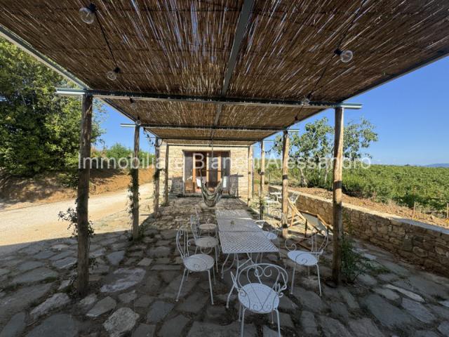 Villa Indipendente in affitto a Unione dei Comuni Circondario dell'Empolese Valdelsa, Empoli