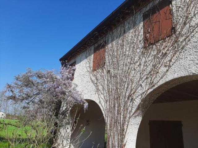 Terreno in vendita a San Michele delle Badesse, Borgoricco
