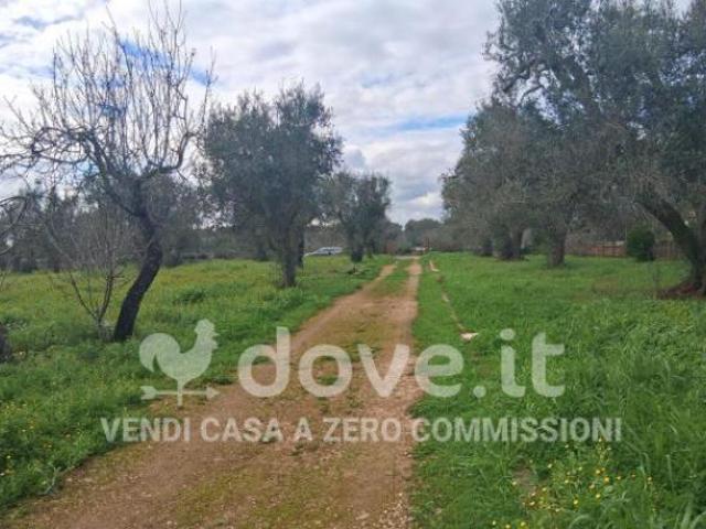 Terreno in vendita a Puglia, Brindisi