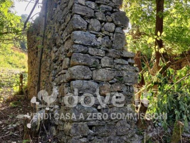 Terreno in vendita a Comunità Montana della Valle Brembana, Taleggio