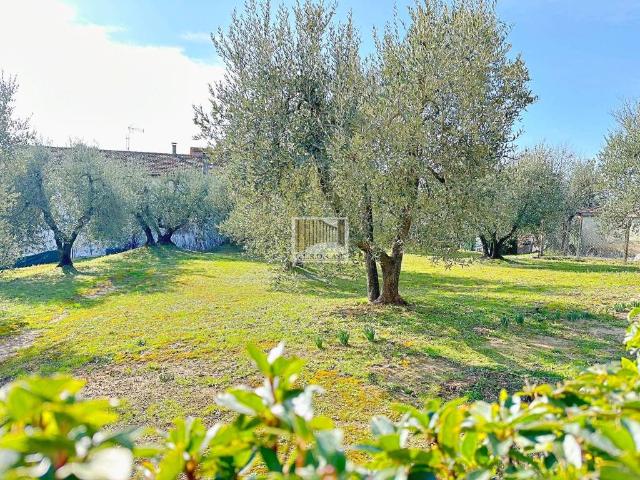Rustico in affitto a Fabro, Umbria