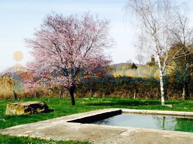 Villa Indipendente in affitto a Montelupino, Izzalini