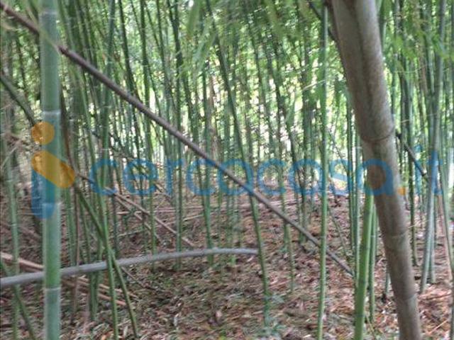 Villa Indipendente in affitto a Porto-Saragozza, Bologna