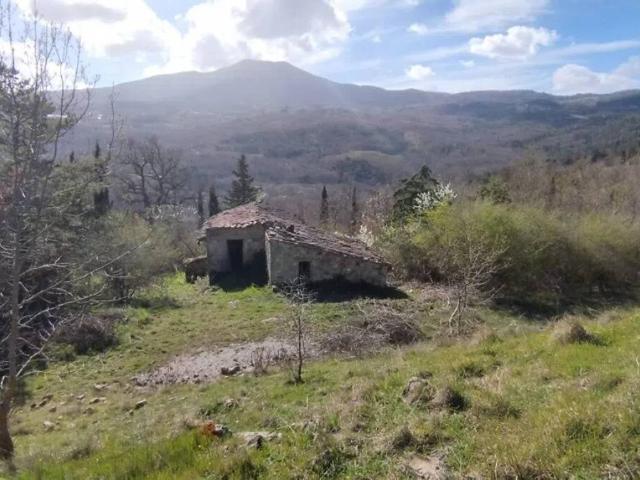 Rustico in vendita a Abbadia San Salvatore, Toscana