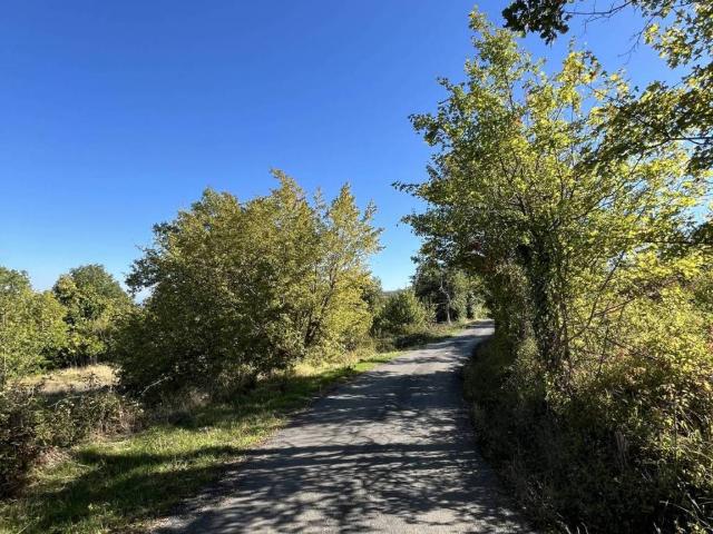 Rustico in vendita a Contrada Colle della Selva, Abbateggio