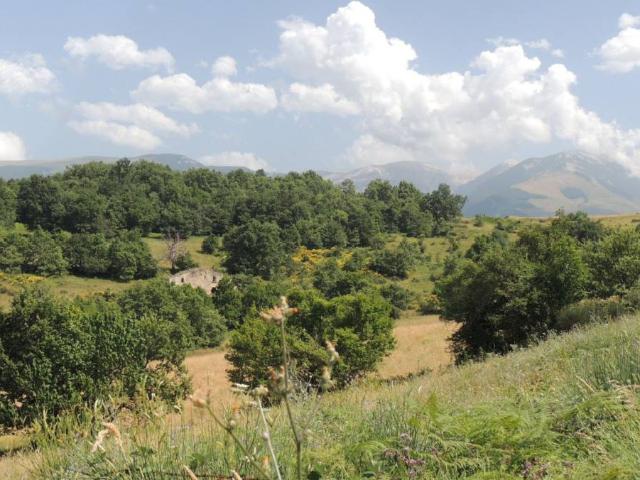 Rustico in vendita a Abbateggio, Abruzzo