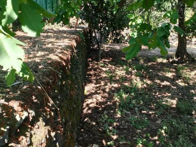 Rustico in vendita a Lavina, Aci Sant'Antonio