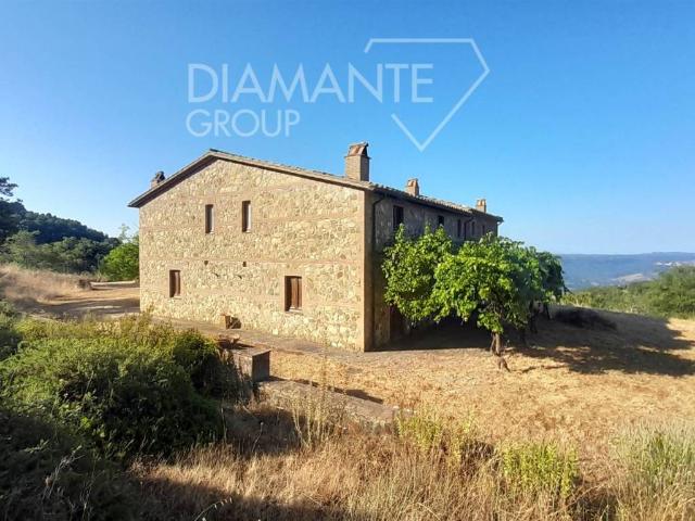 Rustico in vendita a Acquapendente, Lazio
