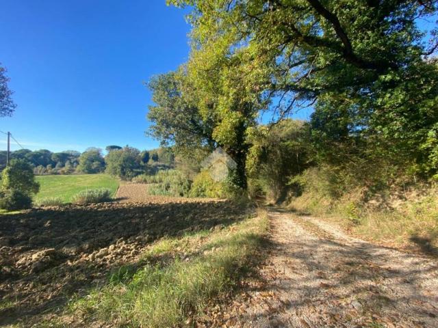 Rustico in vendita a Izzalini, Umbria