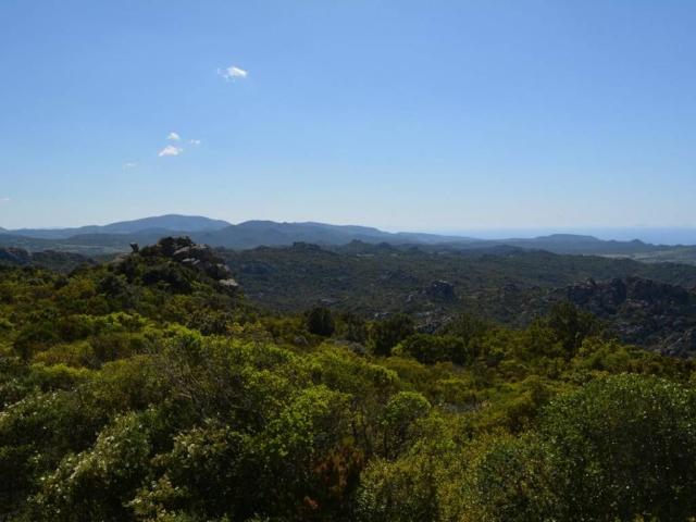 Rustico in vendita a Trinità d'Agultu e Vignola, Sardigna/Sardegna
