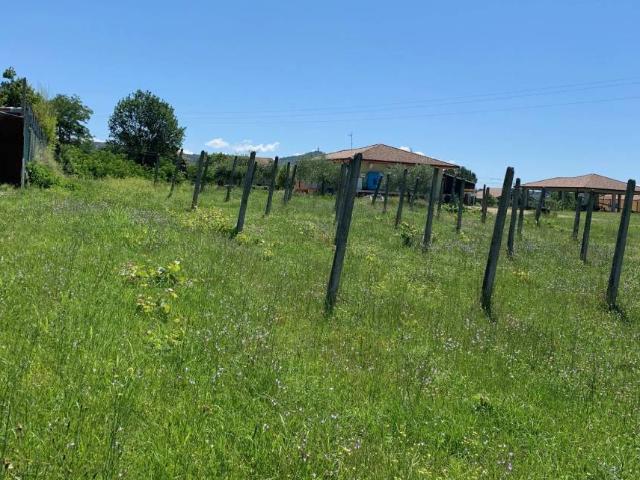 Rustico in vendita a Alatri, Lazio