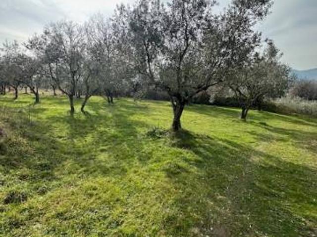 Rustico in vendita a Alatri, Lazio