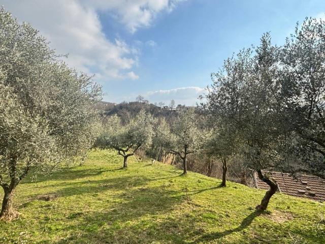 Rustico in vendita a Alatri, Lazio