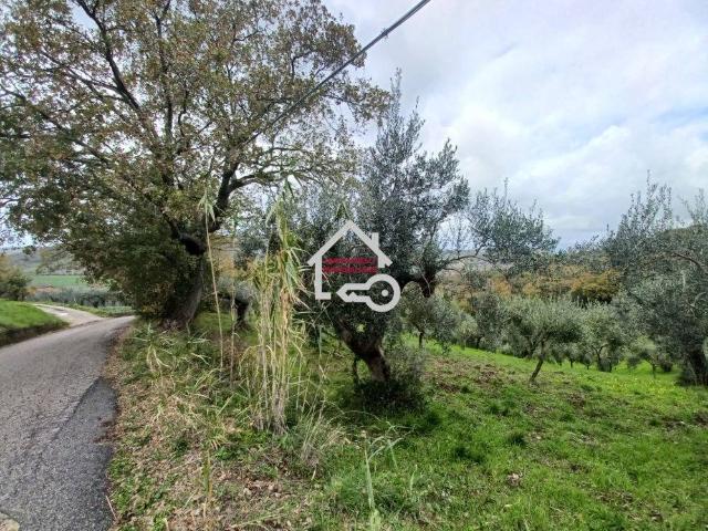 Rustico in vendita a Albanella, Campania