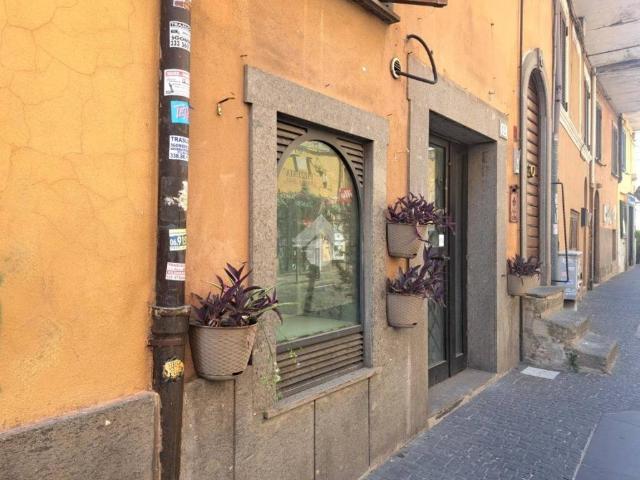 Rustico in vendita a Albano Laziale