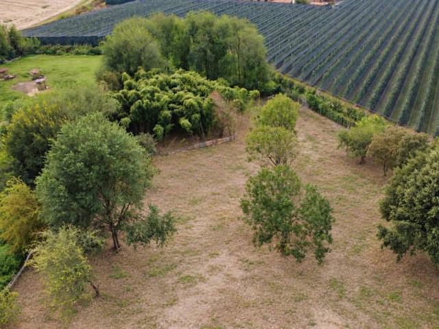 Rustico in vendita a Coriano, Albaredo d'Adige