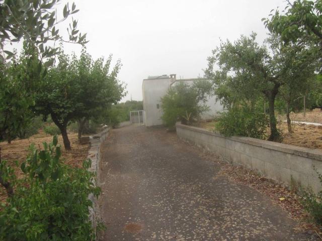 Rustico in vendita a Puglia, Bari