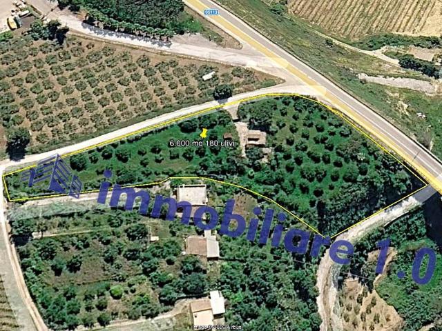 Rustico in vendita a Alcamo, Trapani