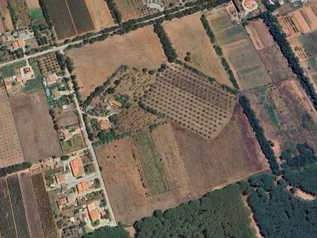 Rustico in vendita a Alghero, Sardigna/Sardegna