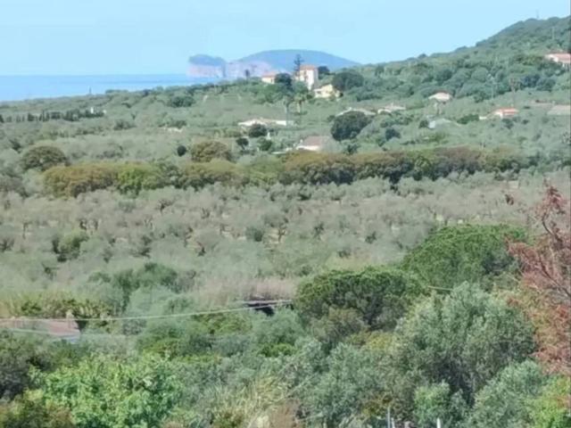 Rustico in vendita a Alghero, Sardigna/Sardegna