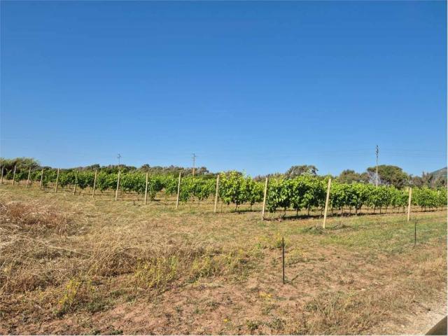 Villa Indipendente in vendita a Alghero, Sardigna/Sardegna