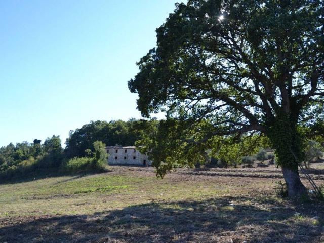 Rustico in vendita a Allerona, Umbria