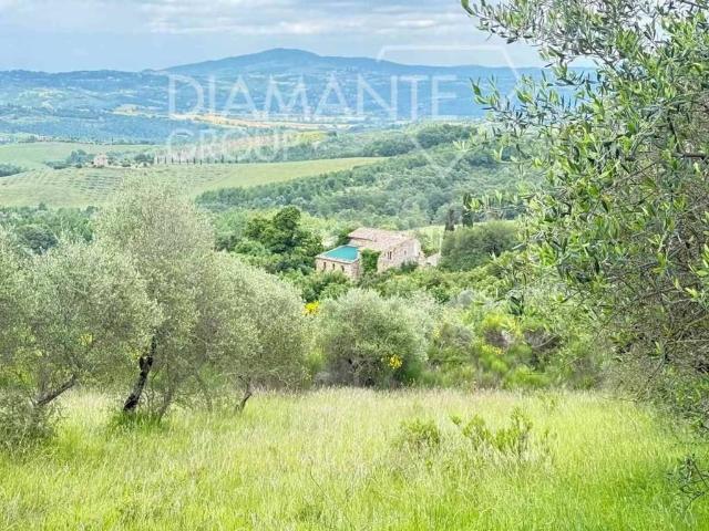 Rustico in vendita a Allerona, Umbria