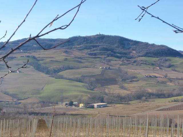 Rustico in vendita a Alta Val Tidone, Trevozzo