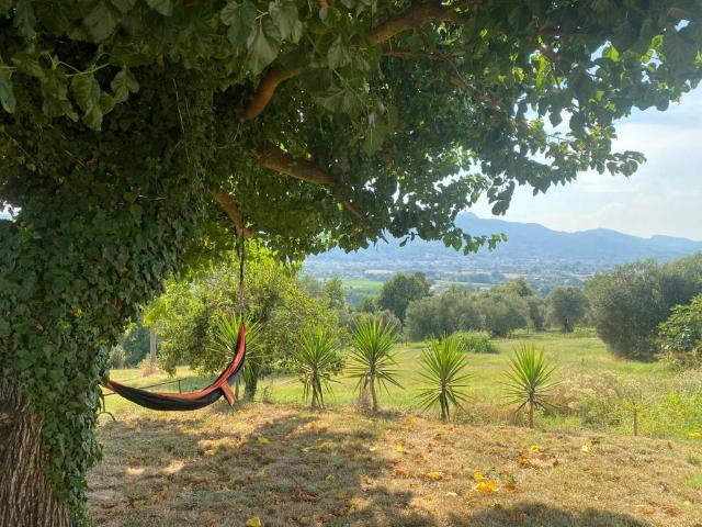 Rustico in vendita a Alvignano, Campania