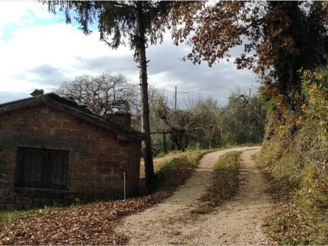 Rustico in vendita a Amelia, Umbria
