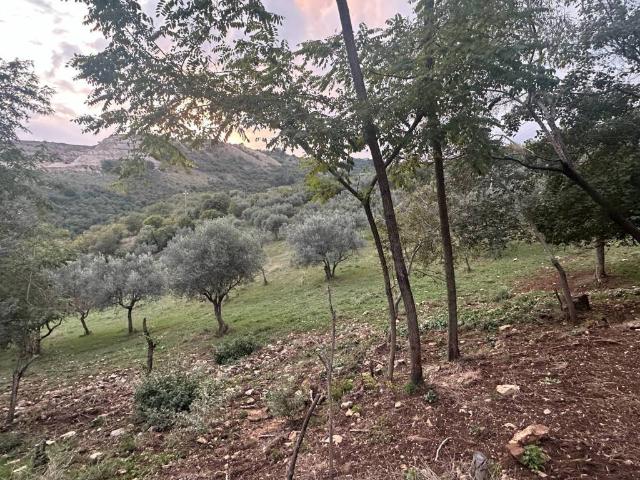 Villa Indipendente in vendita a Anagni, Lazio