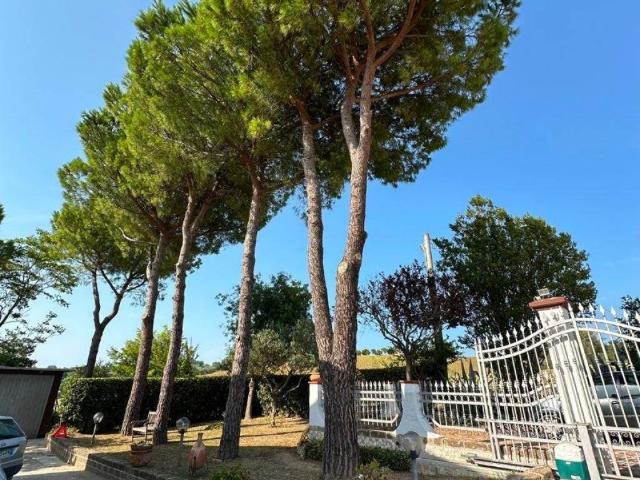 Rustico in vendita a Marche, Ancona
