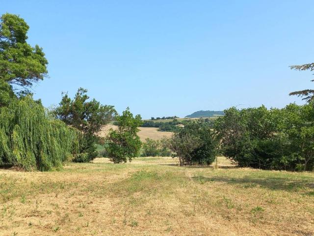 Rustico in vendita a Marche, Ancona