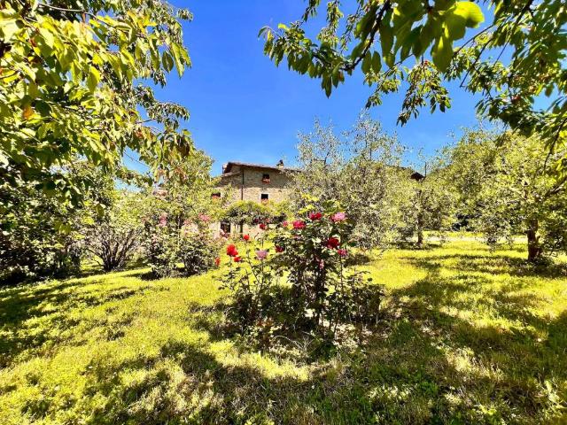 Rustico in vendita a Monterchi, Toscana