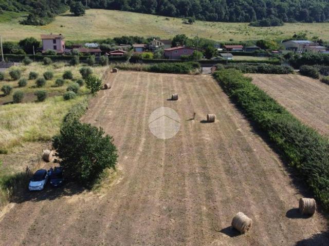 Rustico in vendita a Vigna di Valle, Roma Capitale