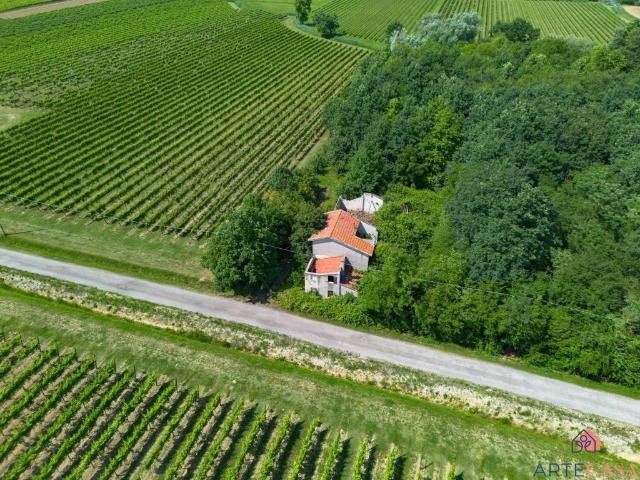 Rustico in vendita a Annone Veneto, Veneto