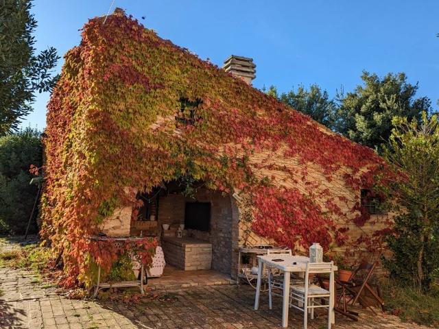 Rustico in vendita a Appignano, Macerata