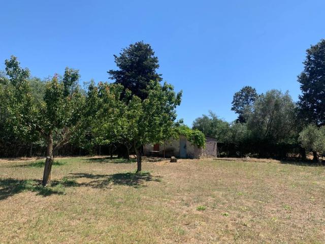 Rustico in vendita a Campo di Carne, Aprilia