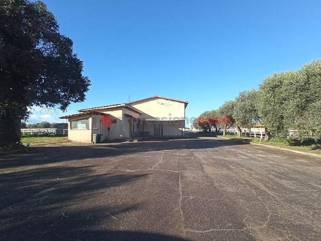 Rustico in vendita a La Cogna, Aprilia