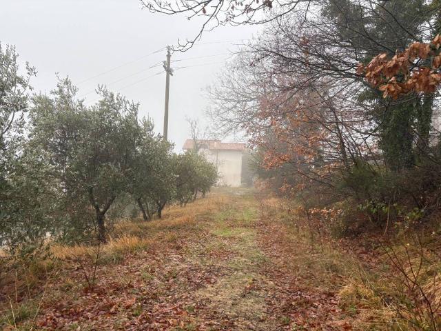 Rustico in vendita a Marche, Ancona