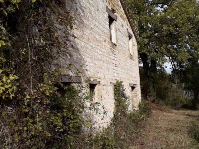Rustico in vendita a Marche, Ancona