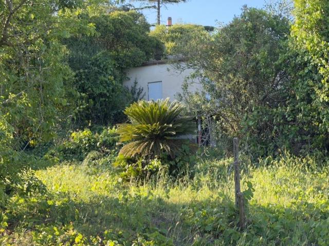 Rustico in vendita a Nuova Florida, Ardea