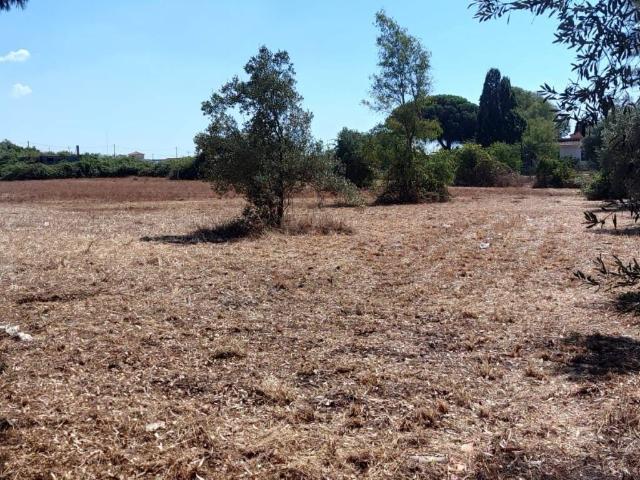 Rustico in vendita a Marina di Tor San Lorenzo, Roma Capitale